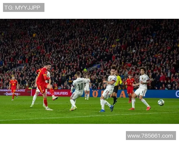 欧洲杯威尔士与比利时激战成和比分如何揭晓比赛精彩瞬间回顾