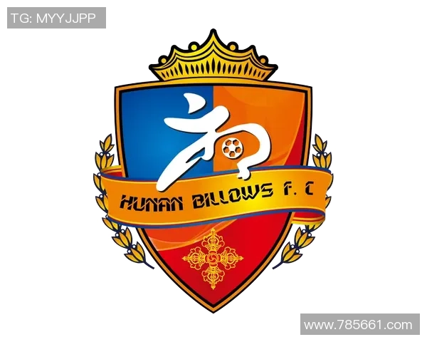 湖南湘涛华莱对阵南通支云精彩直播全程回顾与分析 湖南湘涛华莱对阵南通支云精彩直播全程回顾与分析